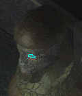 ̖