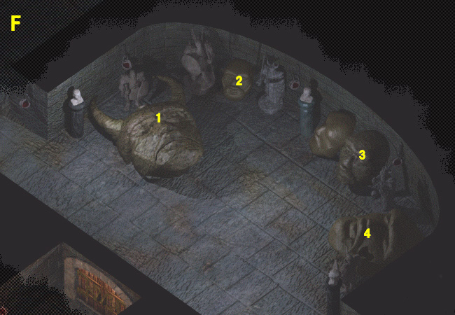 ���ʂ̕���