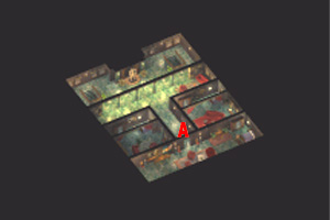 �A�C�A���X���E���T�K�i���́j�}�b�v