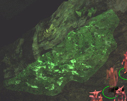 �_���[�W���󂯂鏰